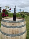 Intuition 2023 - vin blanc tranquille sec