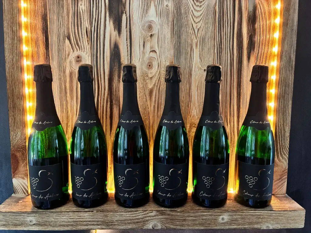 WhatsApp Image 2025-10-05 at 17.41.51.webp