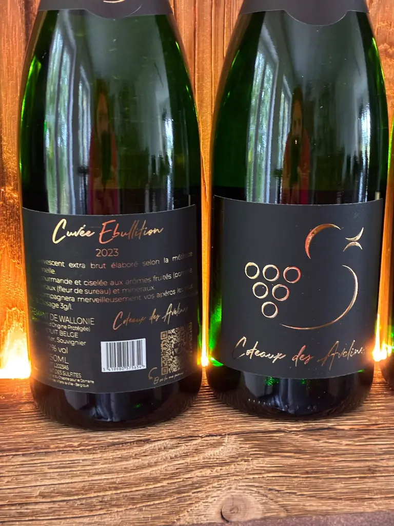 WhatsApp Image 2025-10-05 at 17.41.50 (6).webp