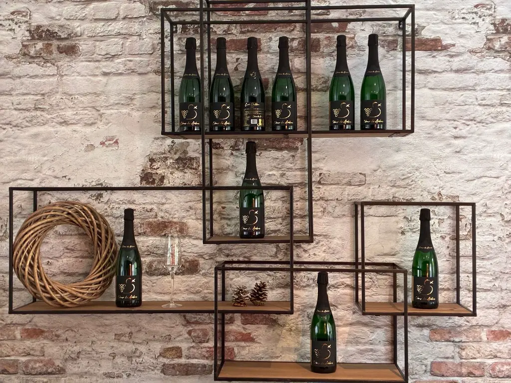 WhatsApp Image 2025-10-05 at 17.41.49 (2).webp