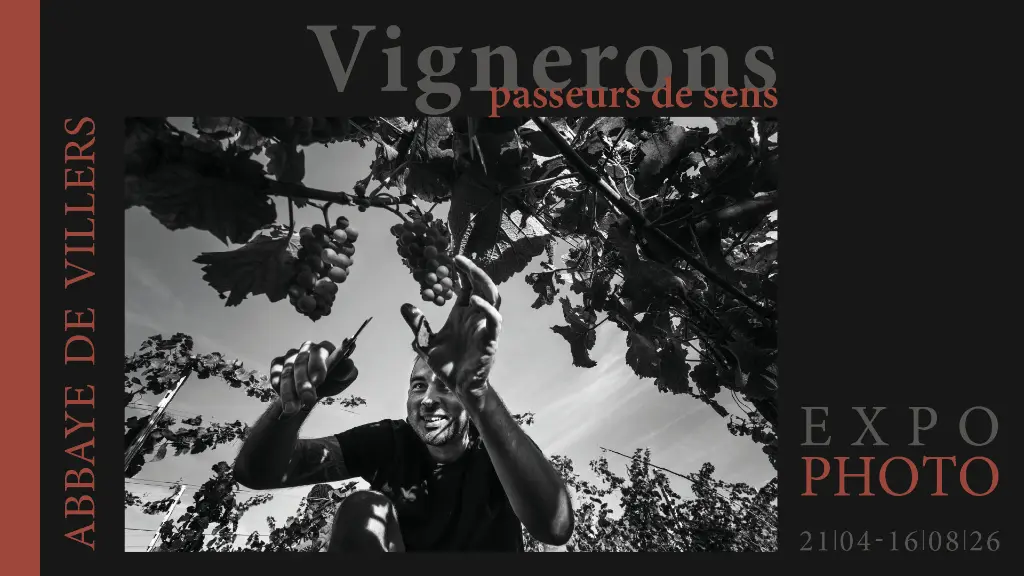 expo-vignerons.webp