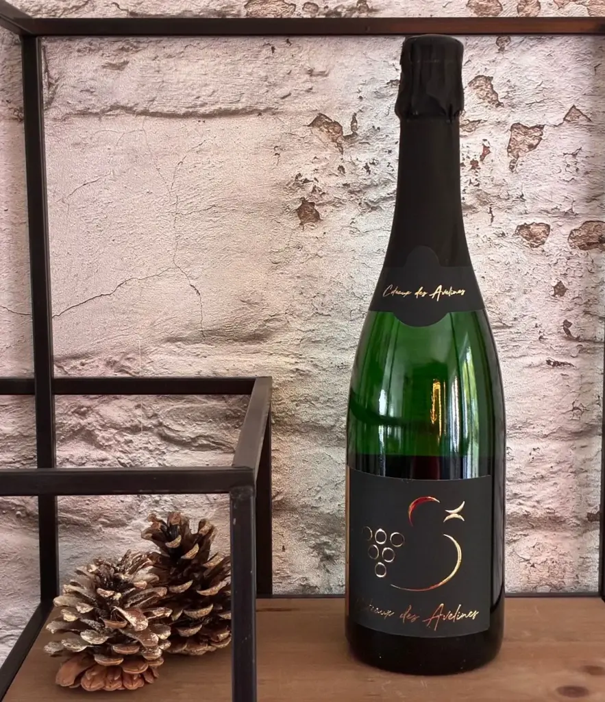 Ebullition 2023 - Vin effervescent