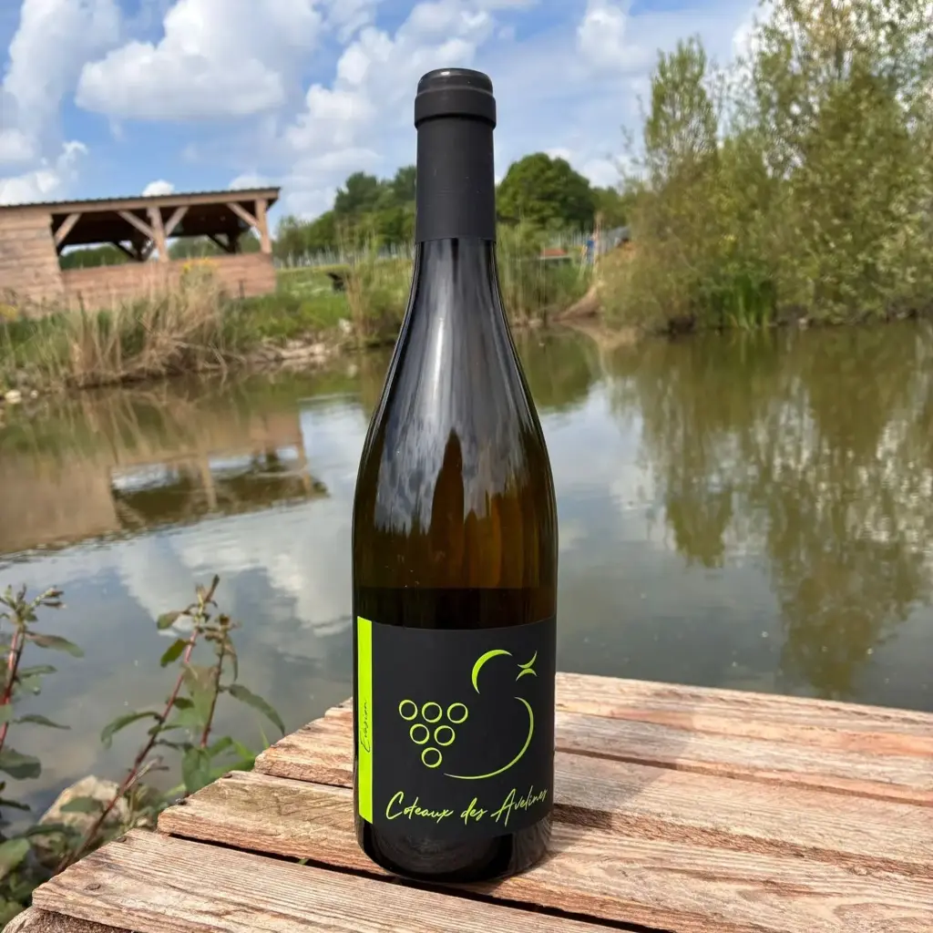 Evasion 2025 - vin blanc tranquille