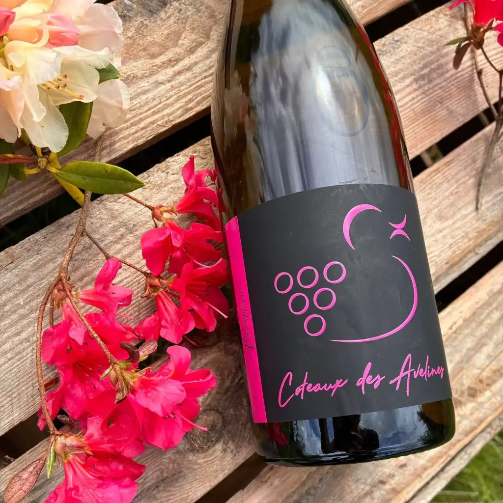 Exception 2025 - vin blanc tranquille sec