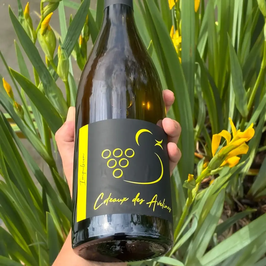 Impulsion 2025 - vin blanc tranquille