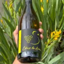 Impulsion 2025 - vin blanc tranquille