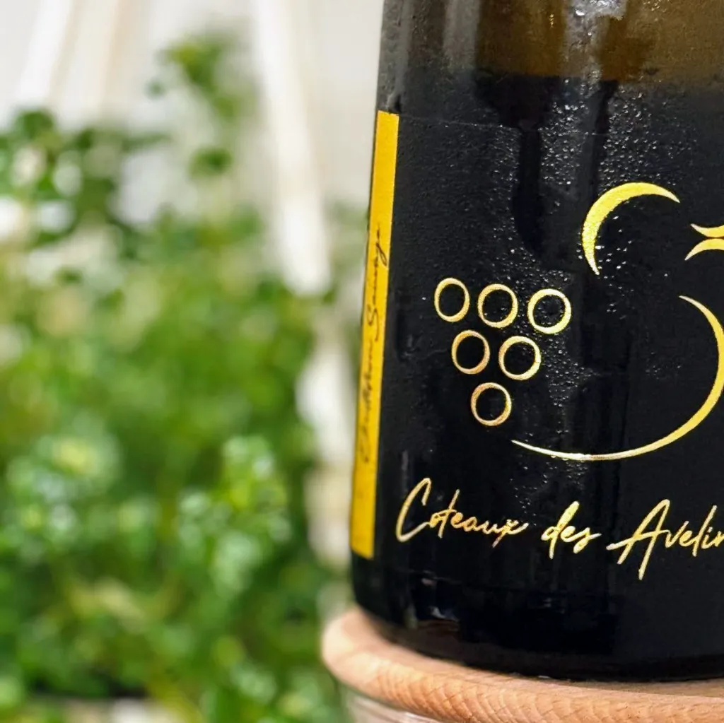 Ebullition Sauvage 2024 - Vin effervescent BIO