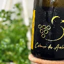 Ebullition Sauvage 2024 - Vin effervescent