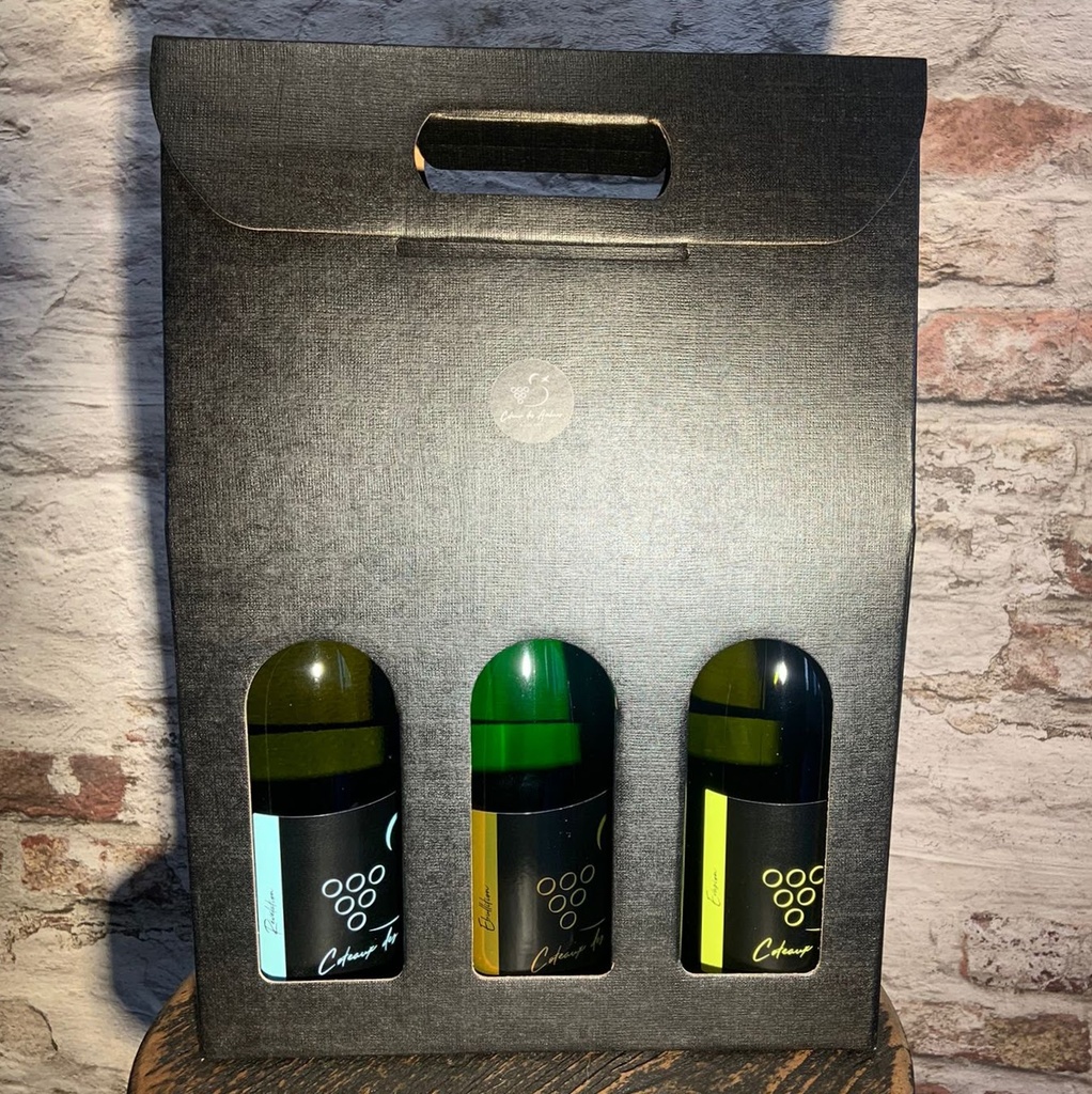 Emballage cadeau carton (Emballage 1 bouteille)