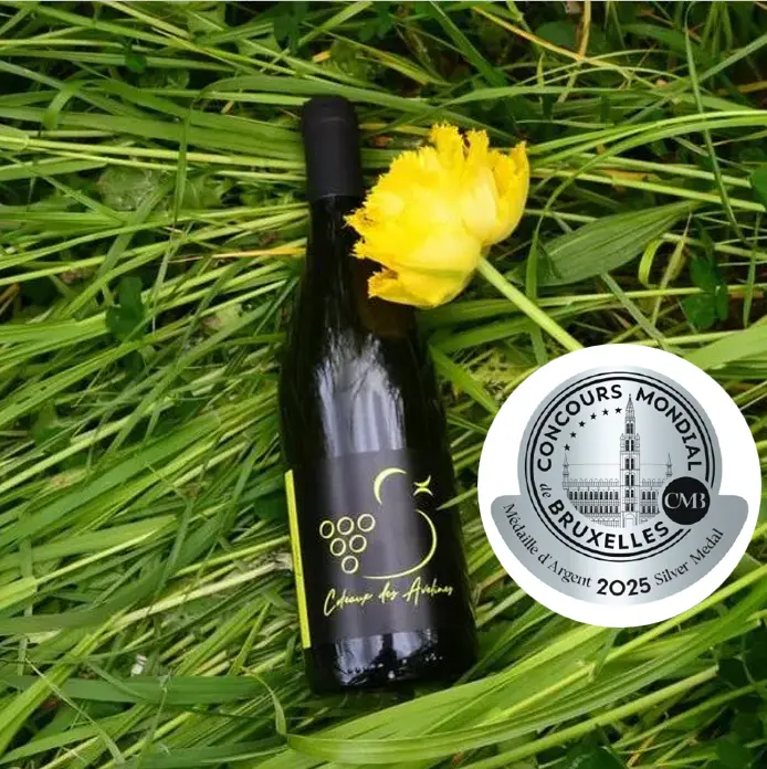 Evasion 2023 - vin blanc tranquille sec