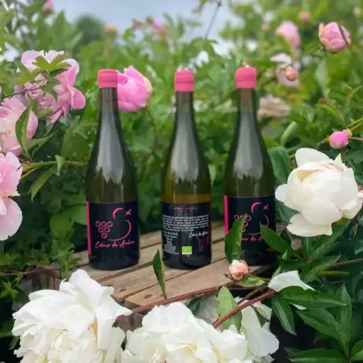 NEW - Exception 2024 - vin blanc tranquille sec